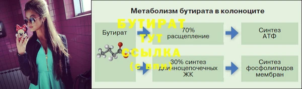 ешки Бородино